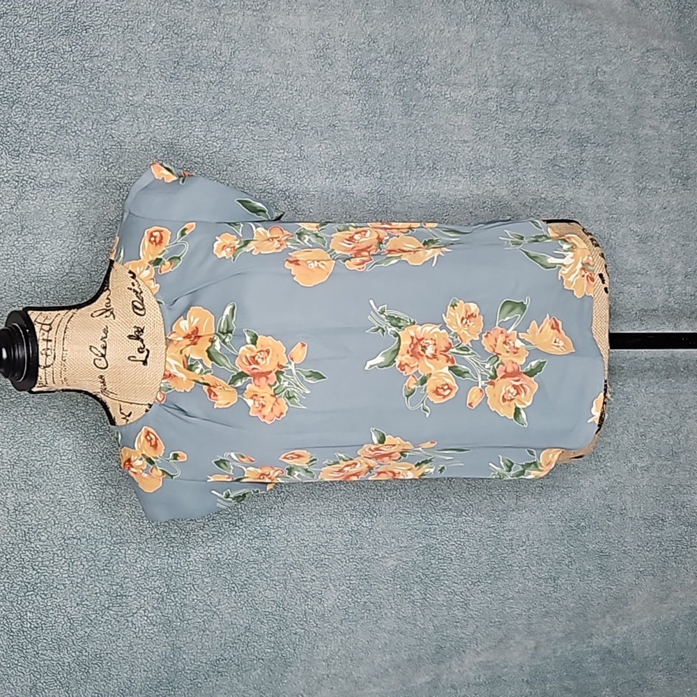 Alice Blue Blous